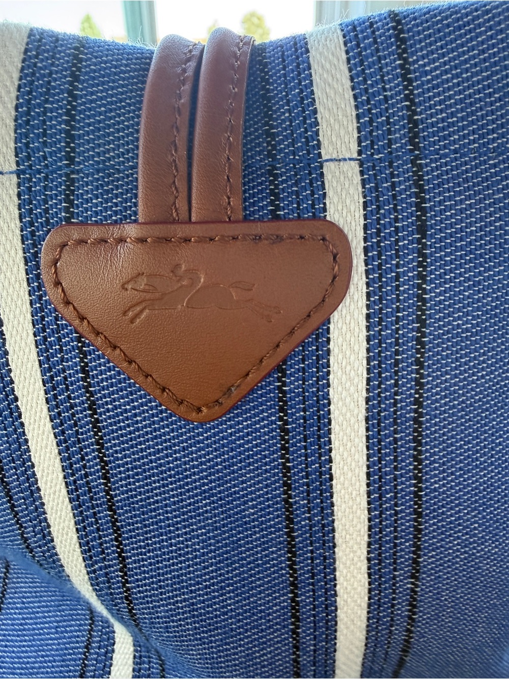 Longchamp Le Roseau Blue and White Striped Bucket Bag - Picture 3 of 10